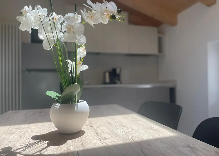 Apartament Benni *