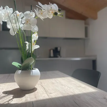 Apartment Benni *